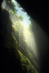 Гроты Вайтомо, Новая Зеландия