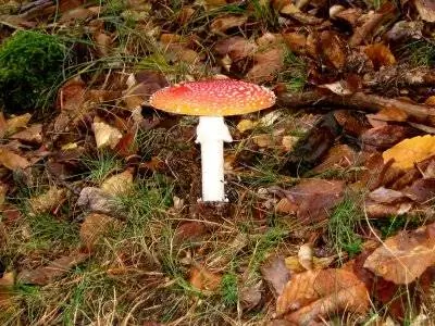 поездка в Гвадалахару