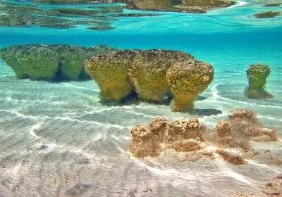 Шарк-Бей-Австралия