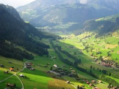 швейцарский