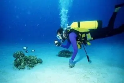 дайвинг в Малаге