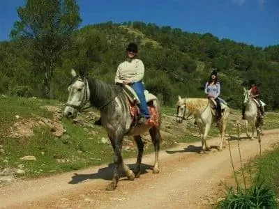 верховая езда