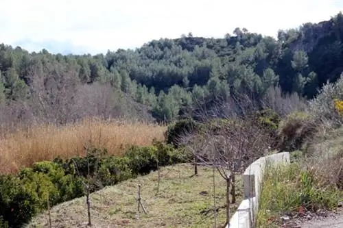 По дороге в Сегорбе