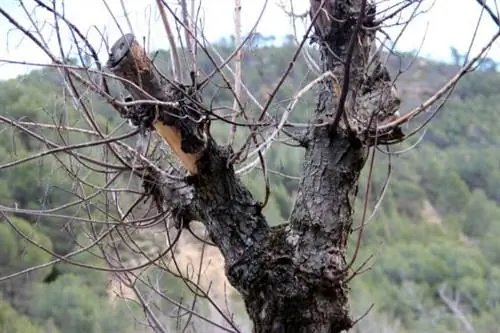 Спуск к фонтанам в Навахе - Прыжок невесты