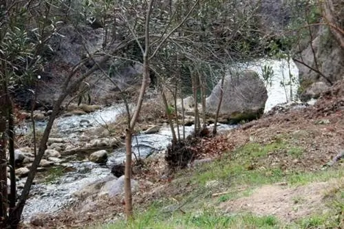 Река Палансия - водопад Брайдс, от Навахи до Сегорбе.