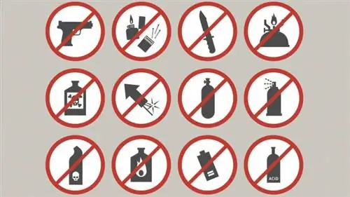 Предметы, запрещенные к провозу в ручной клади: оружие в целом Предметы, запрещенные к провозу в ручной клади: оружие в целом