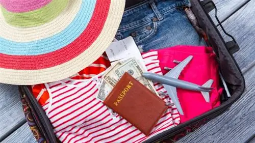 Как проверить багаж в Ryanair