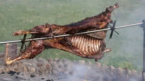 баран на палке