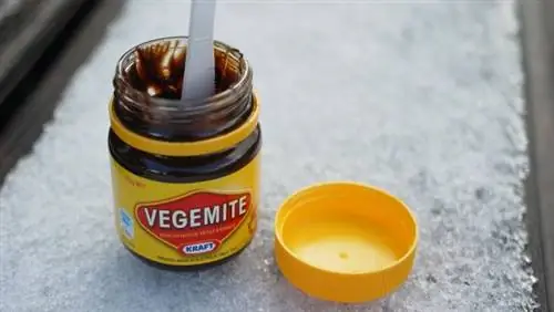 Vegemite, другое распространение