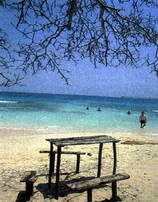 Картахена-де-лас-Индиас