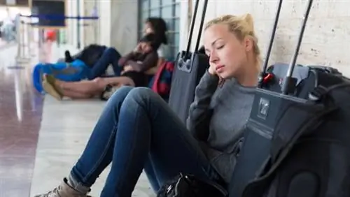 Права в случае задержки