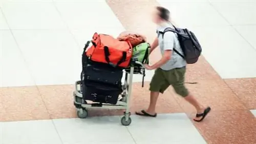 Зарегистрированный багаж на рейсах easyJet