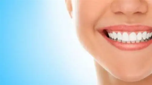 Улыбка как терапия против страха полета