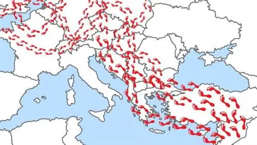 Индоевропейские миграции цыган