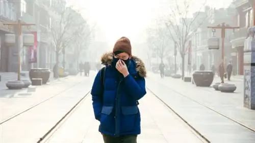 Изображение Изображение
