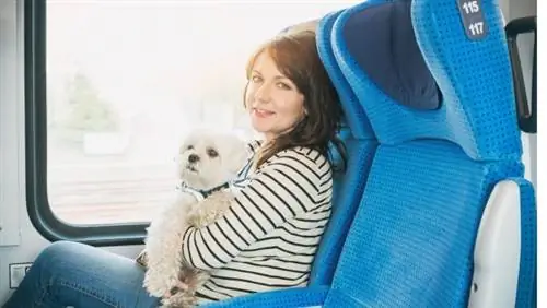 Требования для поездки с собакой на Кубу