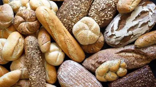 Продукты европейского происхождения: хлеб.