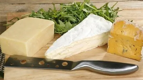 Чеддер, Сомерсет Бри и Шропширский сыр с голубой плесенью