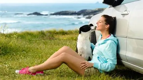 Порядок поездки с домашними животными в Аргентину