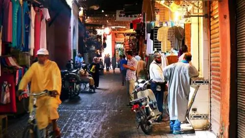 верблюды на пляже