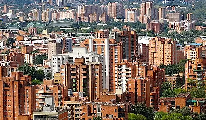 Окончательный список дел в Медельине