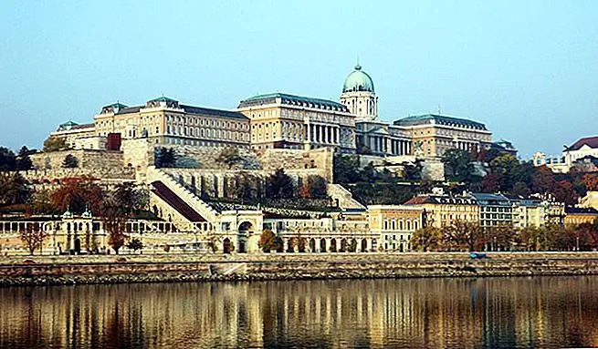 Марта - заядлый народный танцор, и однажды вечером она отвела меня на местную танцевальную сессию на Будайской стороне города. В то время как Пешт занят, современный и центр жизни города, Буда - это место, где вы находите замок, улицы булыжника и старую Восточную Европу, которые вы представляете себе в своем уме. Прогуливаясь по мощеным улочкам, выложенным кирпичными зданиями, мы остановились у одного, вошли в большую площадь и угощали местным венгерским пивным залом.