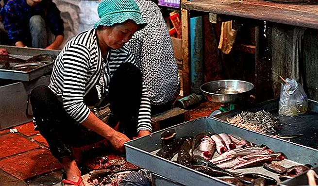 С тех пор, как я был здесь, город сильно изменился. Там больше денег, более красивые здания, несколько торговых центров и много более высококлассных ресторанов. Я нашел несколько хороших суши и корейских ресторанов барбекю, которые, учитывая приток корейских и японских денег, меня не удивляют.