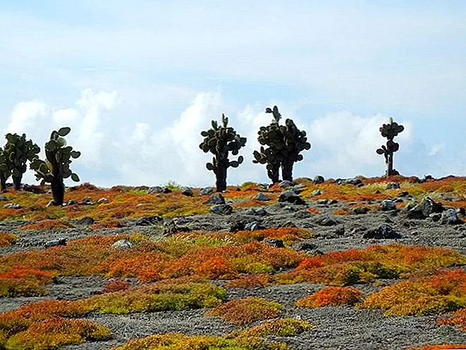 Галапагосские острова в фотографиях