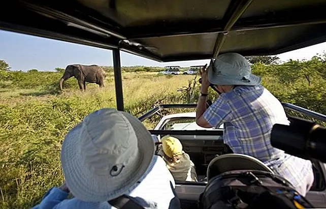 Близкие встречи со слонами распространены в парке Elephant Tembe на севере провинции KwaZulu Natal в Южной Африке. На протяжении веков предки этих слонов свободно перемещались по песчаным лесам Мапутуланда, региона, который оседлал границу Южной Африки и Мозамбика, но их число рухнуло во время гражданской войны в Мозамбикване из-за браконьеров и наземных мин. В 1989 году через границу был установлен забор для защиты тех слонов, которые остались на южноафриканской стороне, и теперь, после 20 лет успешной реабилитации, их число снова процветает.