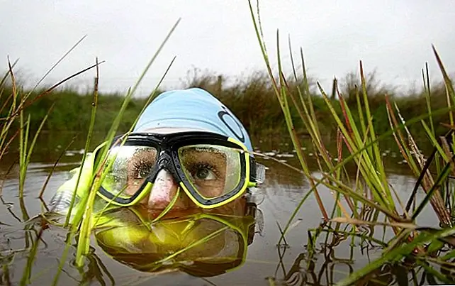 С его поразительно грязными соперниками, Bog Snorkelling стал чем-то вроде грязного мальчика-плаката странных видов спорта. Ежегодные чемпионаты мира, проводимые каждый август, начались около тридцати лет назад в Llanwrtyd Wells. Участникам приходится плавать два сырых шестидесятиметровых отрезка траншеи, специально разрезанных на валлийское торфяное болото.