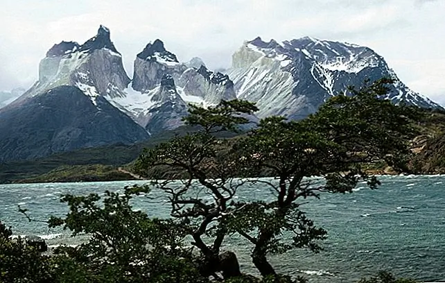 Национальный парк Braving Torres del Paine, Чили