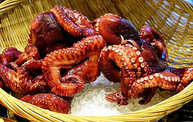 13 самых причудливых продуктов со всего мира