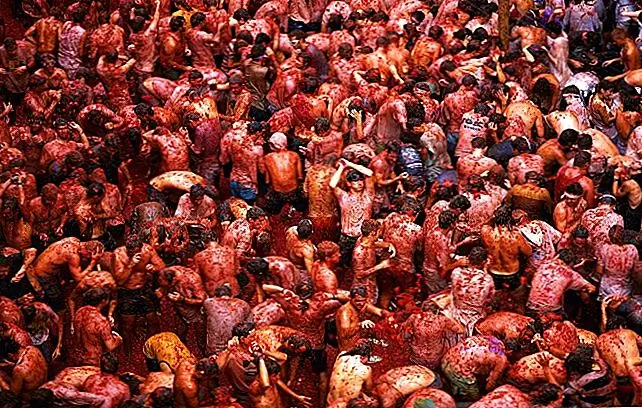 Картина города красная в La Tomatina в Испании