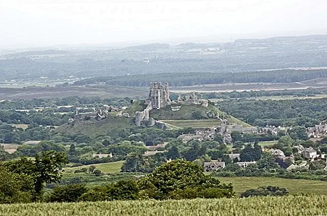 Image Image