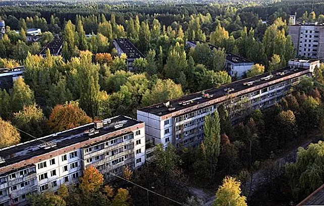 Жаркий фильм показывает призрачный город Припять, через 30 лет после Чернобыльской катастрофы