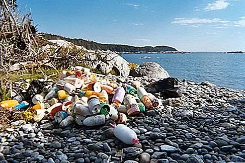 Isle au Haut, Maine Как и его соседний остров Маунт-Десерт, большая часть острова Ай-Хаут - более половины - посвящена Национальному парку Акадия. Тем не менее, очень немногие посетители парка добираются до этого другого острова залива Пенобскот, к югу от главной территории парка.