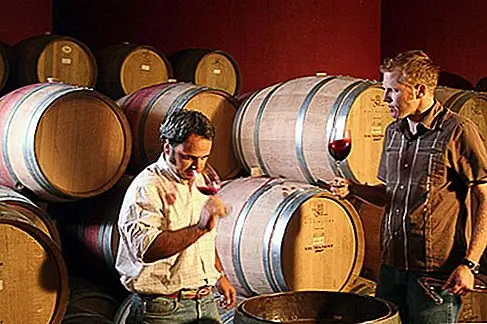 Via Manent Colchagua Valley На борту поезда всадники отдыхают на бархатных сидениях Мерлота и берут в себя Андские вершины, катаясь по фарфоровым стюардам, подают бокалы чистого чилийского вина. Этот изящный набор реставрированных вагонов с полированной латунной фурнитурой, элегантными занавесками и белыми тканевыми столами мягко гремит через долину, населенную рядами по ряду виноградных лоз, увенчанных нечетным фермерским домом и терракотовым домом. Это, несомненно, лучший способ приехать в непринужденный город Санта-Крус.