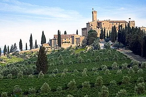 Castello Banfi, Тоскана появляется на тосканском горизонте, как розовый замок на вершине холма прямо из сказки. Высокая, стройная башня в стиле Рапунцель выходит на огромное поместье, которое доходит почти до близлежащего Средиземноморья. Внутри этой аутентичной средневековой крепости расположен уютный внутренний двор; снаружи лежит кладка каменных коттеджей с узкими узорами, покрытыми виноградной лозой, деревушкой, которая цепляется за стены замка в темные века. Усадьба держит виноградные лозы, оливковые рощи, пшеничные поля, сливовые сады и леса; в этих же лесах живут кабан, олень, фазан, даже трюфели.