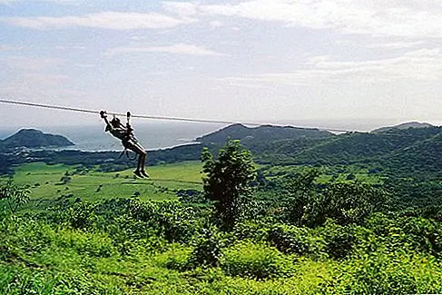 10 Ziplines, чтобы сделать Тарзана гордым