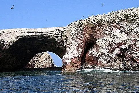 Islas Ballestas Красные рок-арки, охватывающие кобальтовое море, скалы, пронизанные пещерами и трещинами - капризно сформированные Islas Ballestas - это приюты для морской жизни, которые почти кажутся искусственной площадкой. Можно заметить, что пингвины Гумбольдта, инки-крачки, олуши, бакланы и фламинго могут прыгать по этой группе из трех небольших скалистых островов Тихого океана к западу от побережья Перу, а подводная дикая природа одинаково богата.