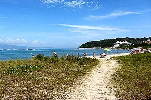 Ilha de Santa Catarina Если вы ищете самую горячую пляжную сцену на планете в эти дни, вы можете обойти Майами, Сан-Хуан и Ибицу и отправиться прямо в Бразилию. Остров Санта-Катарина (Ilha de Santa Catarina), известный как остров Флорианополис, стал одним из самых популярных мест в Бразилии, с милями и милями великолепных пляжей, предлагающих серфинг мирового класса.