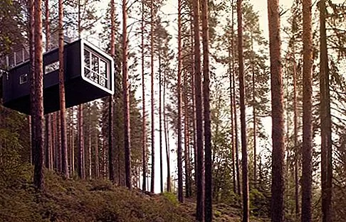 10 самых странных номеров в мире