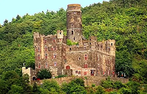 Рейнская долина, Германия