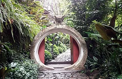 Лас-Позас в Xilitla, Сан-Луис-Потоси
