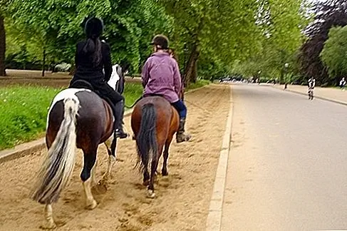 Гнилая поездка Поездка вниз по Гатти Парку Гнилой Роу на лошадях, и вы почувствуете себя героем английского романа 19-го века, когда вы проходите бегунов, конькобежцев и велосипедистов. Нет лучшего способа поглотить атмосферу самого популярного парка Лондона.