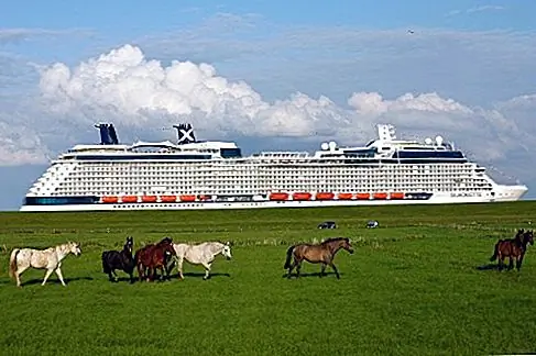Силуэт знаменитости: открытие нового Megaship