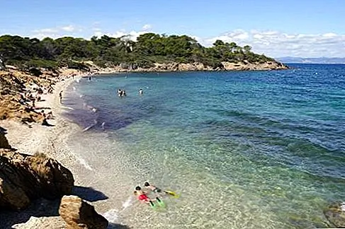 Питание в пикник-ланч на Porquerolles. Самый райский уголок островов Йер является обязательным для любителей природы, которые будут любить просторы соснового леса, оливковых рощ, виноградников и славных пляжей.