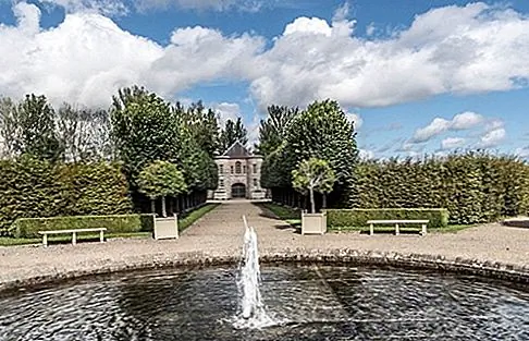 Image Image