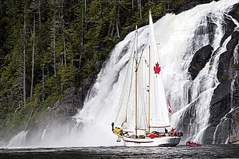 Парусный спорт в тропическом лесу Большого Медведя (Британская Колумбия) Около половины западного побережья Британской Колумбии является изолированным регионом гор, фьордов, заливов, рек и заливов. Это одно из последних мест, где медведи гризли все еще встречаются в большом количестве, плюс лосось, косатки, выдры и морские свиньи. Maple Leaf Adventures (www.mapleleafadventures.com) проводит множество поездок на классических парусных кораблях от 70 до 92 футов в эту волшебную часть мира.