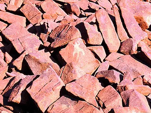 Dampier Rock Art Complex, Муружуга, Западная Австралия